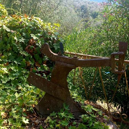 B&B La Risorgiva Fivizzano Dış mekan fotoğraf