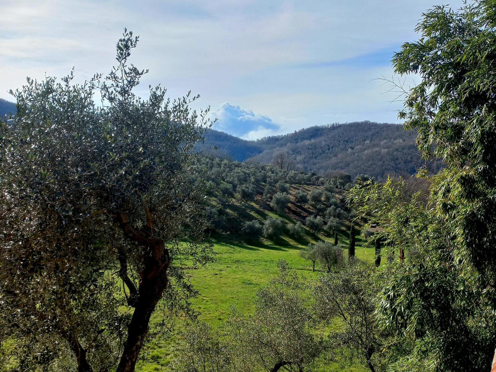 B&B La Risorgiva Fivizzano Dış mekan fotoğraf