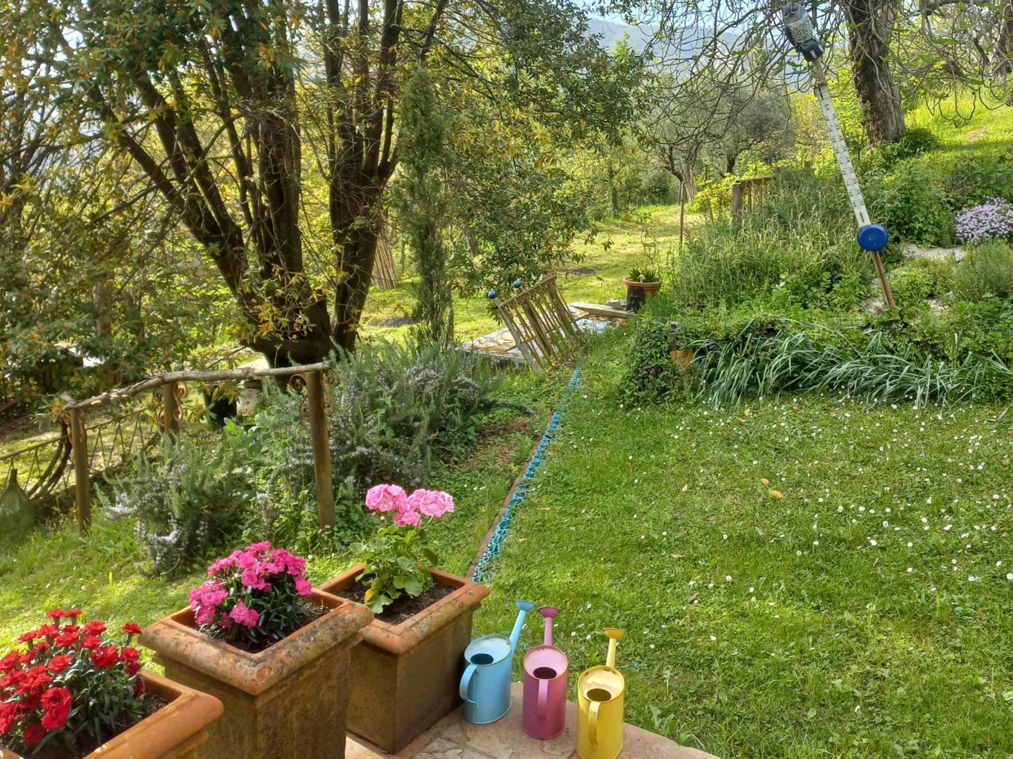 B&B La Risorgiva Fivizzano Dış mekan fotoğraf